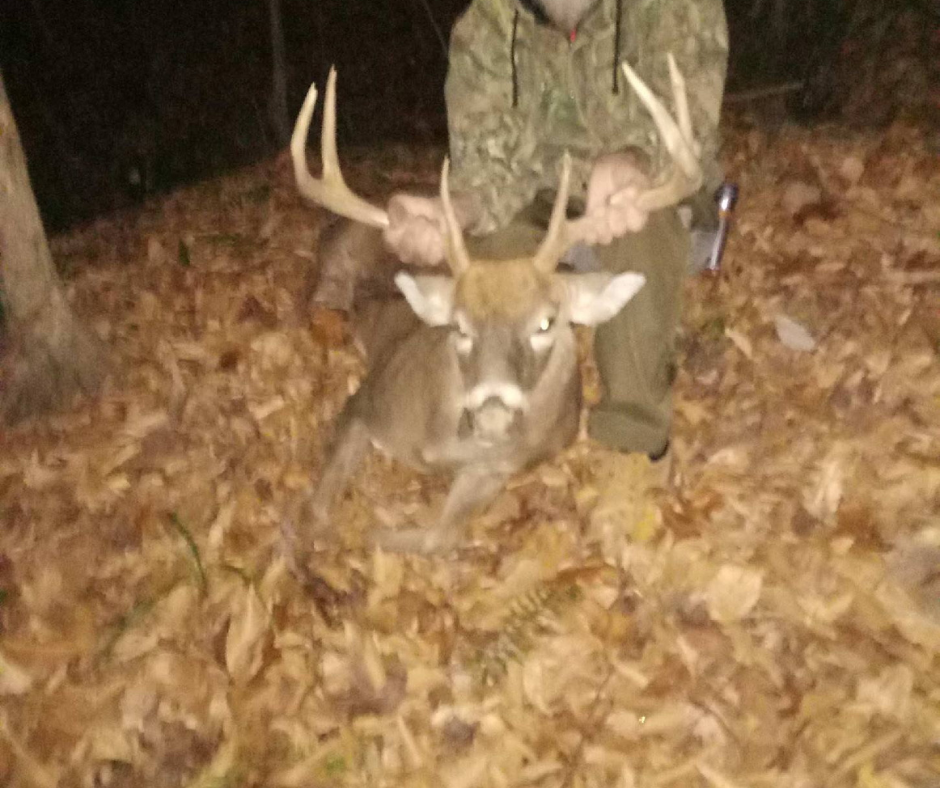 69 Acre Hunting Land For Sale in Lauderdale County, TN