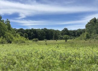 68± Acres of Timber, Water & Recreation | Monroe County, Wisconsin