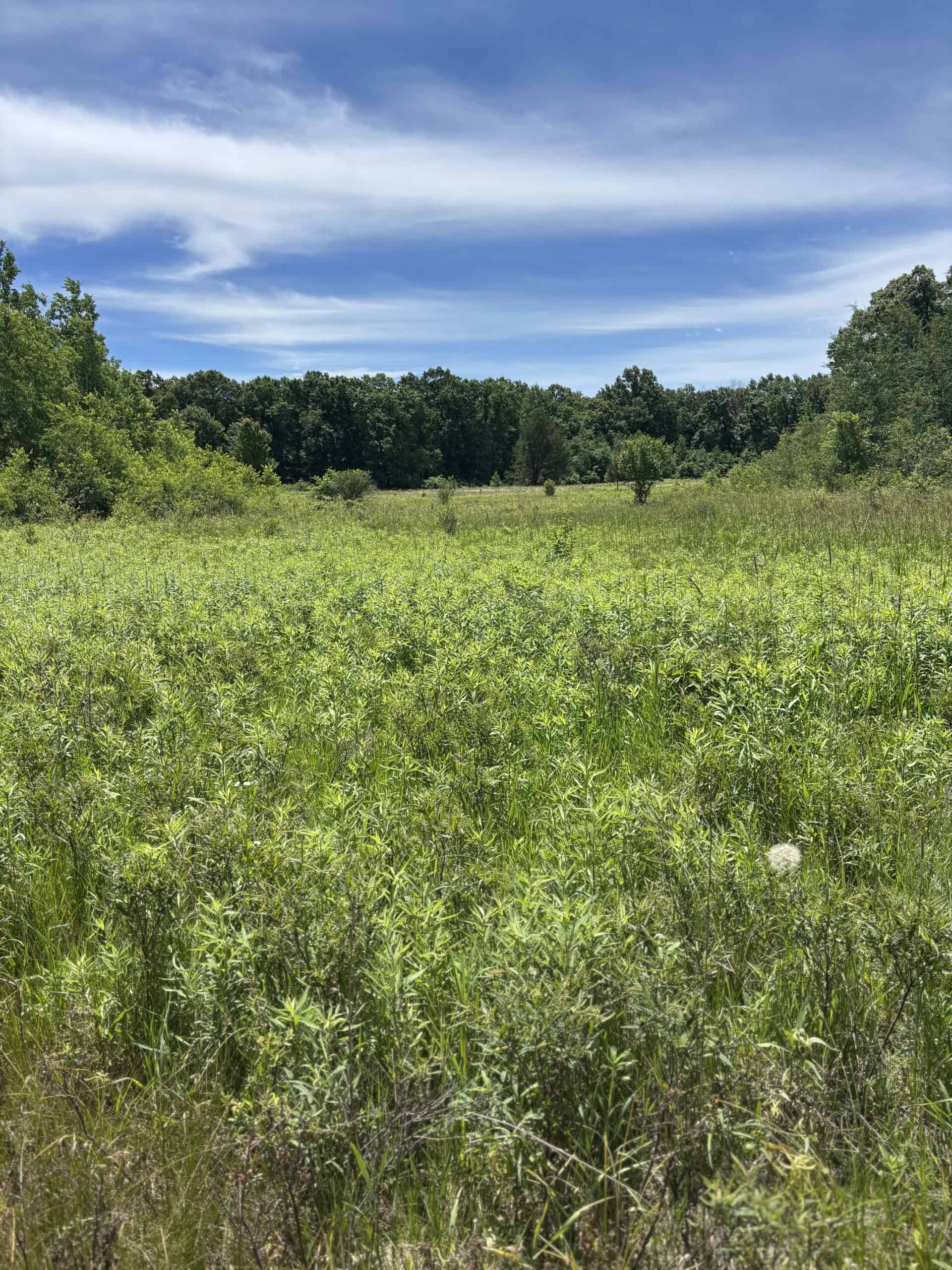 68± Acres of Timber, Water & Recreation | Monroe County, Wisconsin
