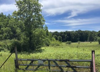 68± Acres of Timber, Water & Recreation | Monroe County, Wisconsin