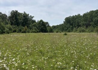 68± Acres of Timber, Water & Recreation | Monroe County, Wisconsin