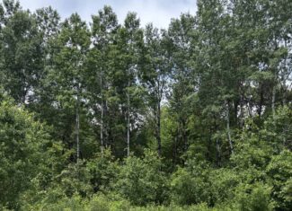 68± Acres of Timber, Water & Recreation | Monroe County, Wisconsin