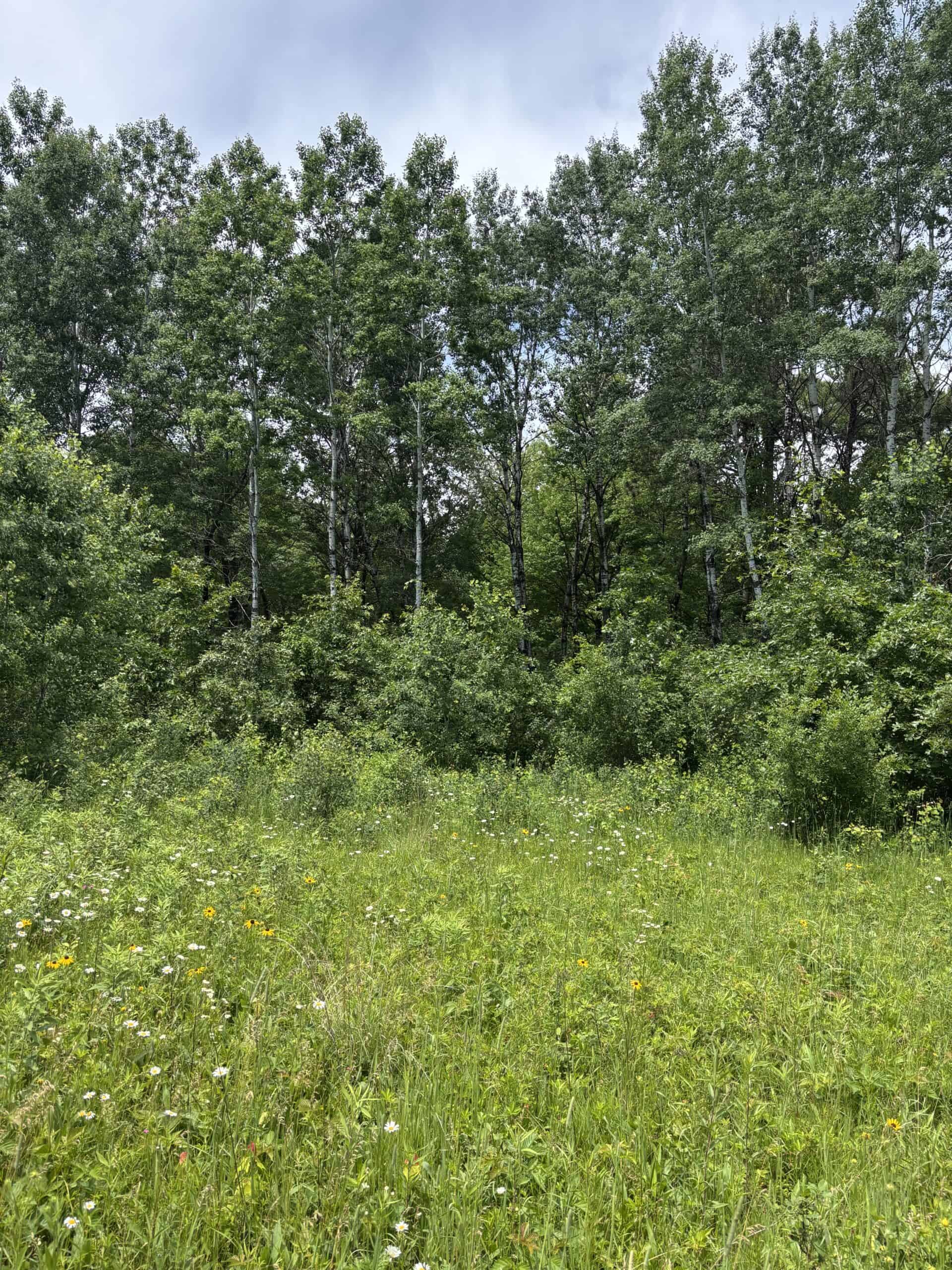 68± Acres of Timber, Water & Recreation | Monroe County, Wisconsin