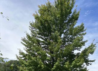 68± Acres of Timber, Water & Recreation | Monroe County, Wisconsin