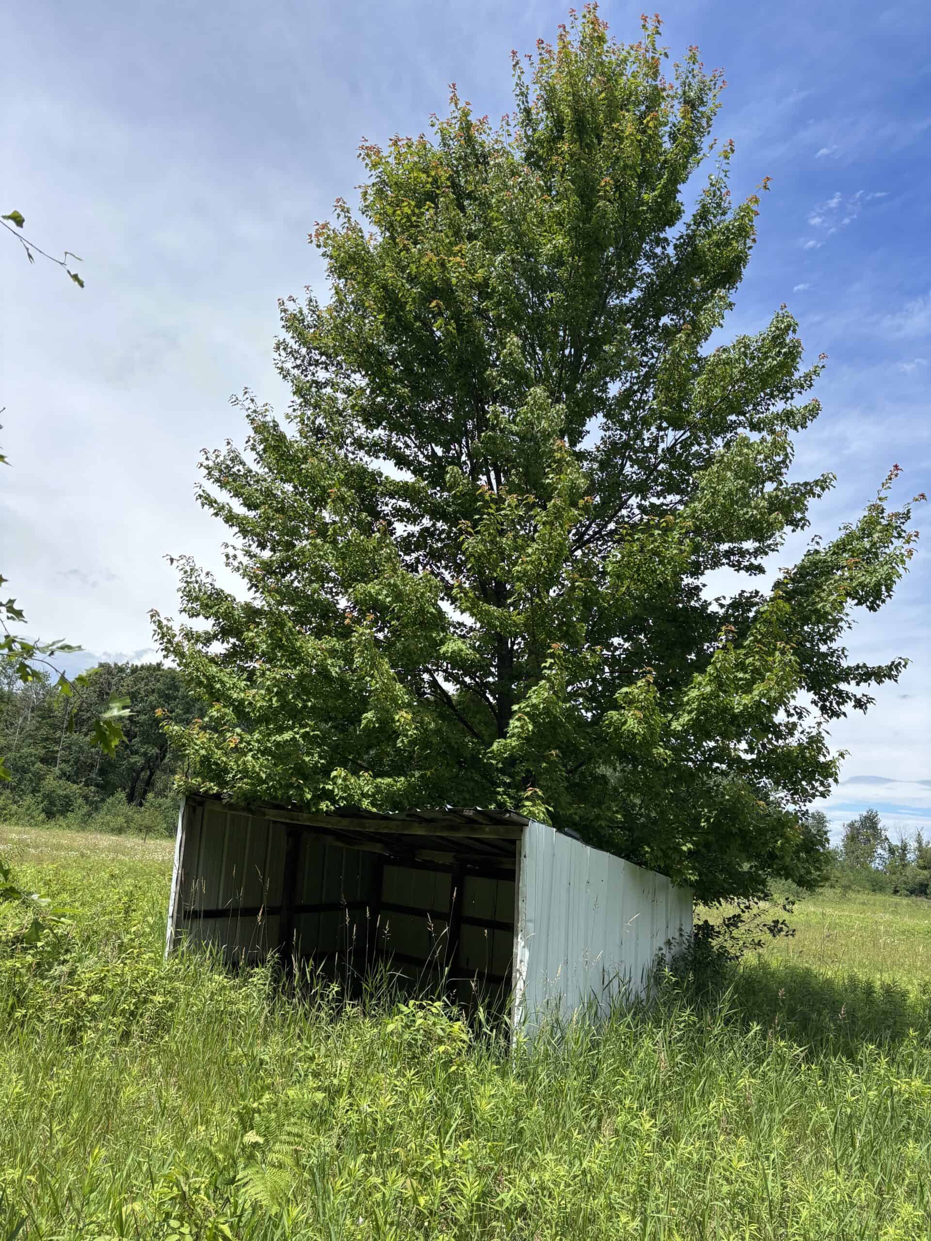 68± Acres of Timber, Water & Recreation | Monroe County, Wisconsin