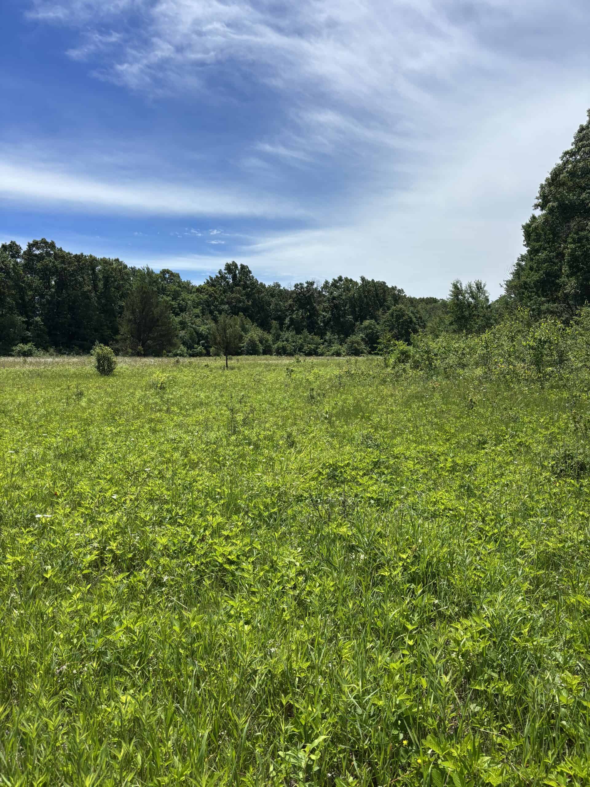 68± Acres of Timber, Water & Recreation | Monroe County, Wisconsin