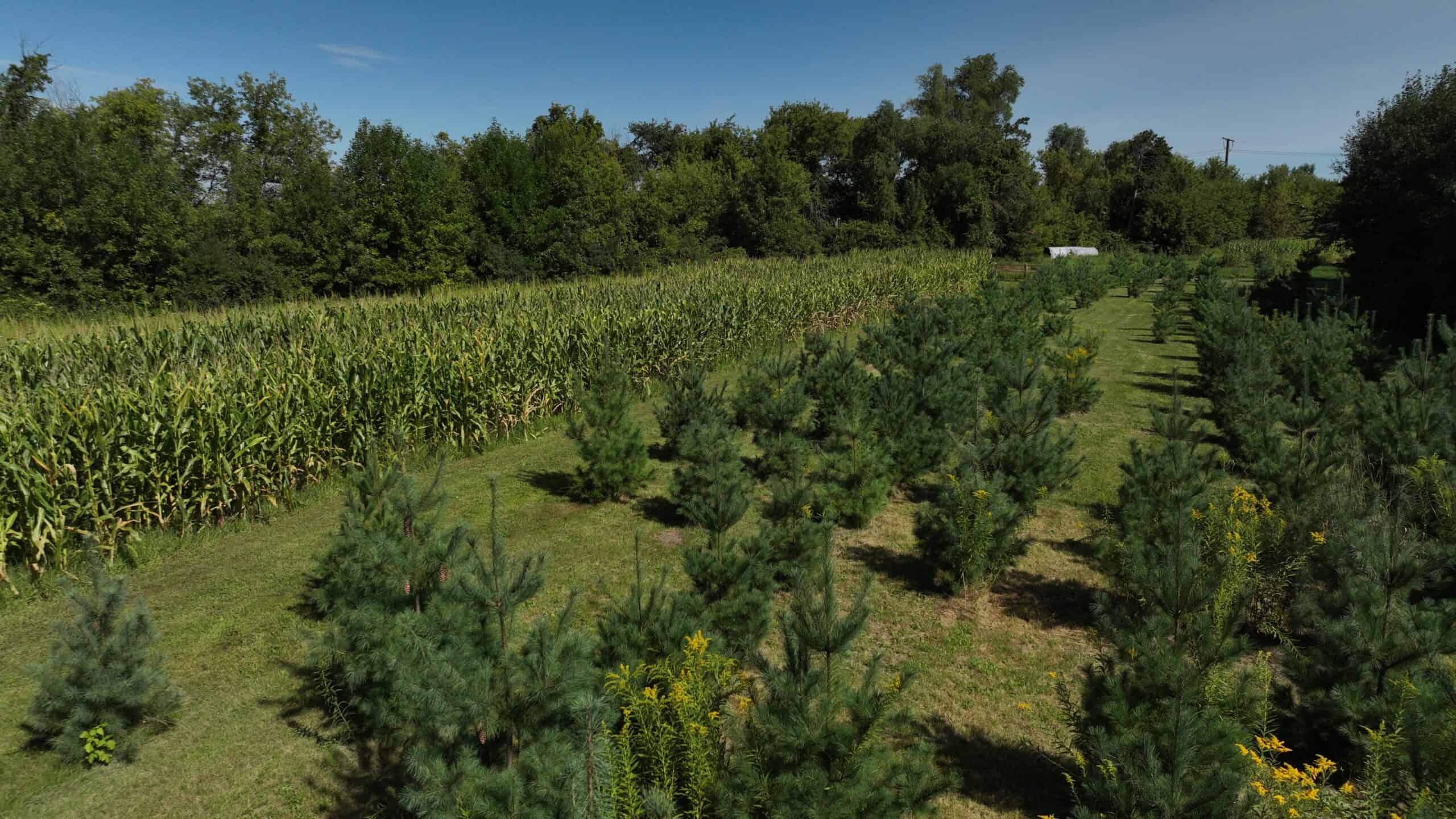 50-Acre Private Fishery & Recreational Estate | Tomah, Wisconsin