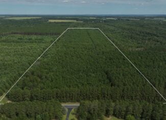 39.70± Acres of Hunting & Recreational Land Near Wisconsin Dells | Adams County, WI