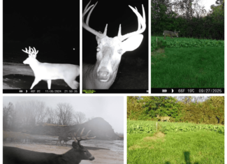 50-Acre Private Fishery & Recreational Estate | Tomah, Wisconsin