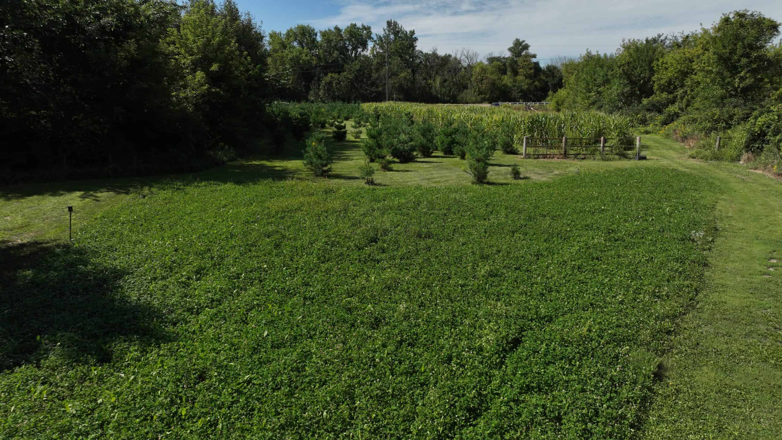 50-Acre Private Fishery & Recreational Estate | Tomah, Wisconsin