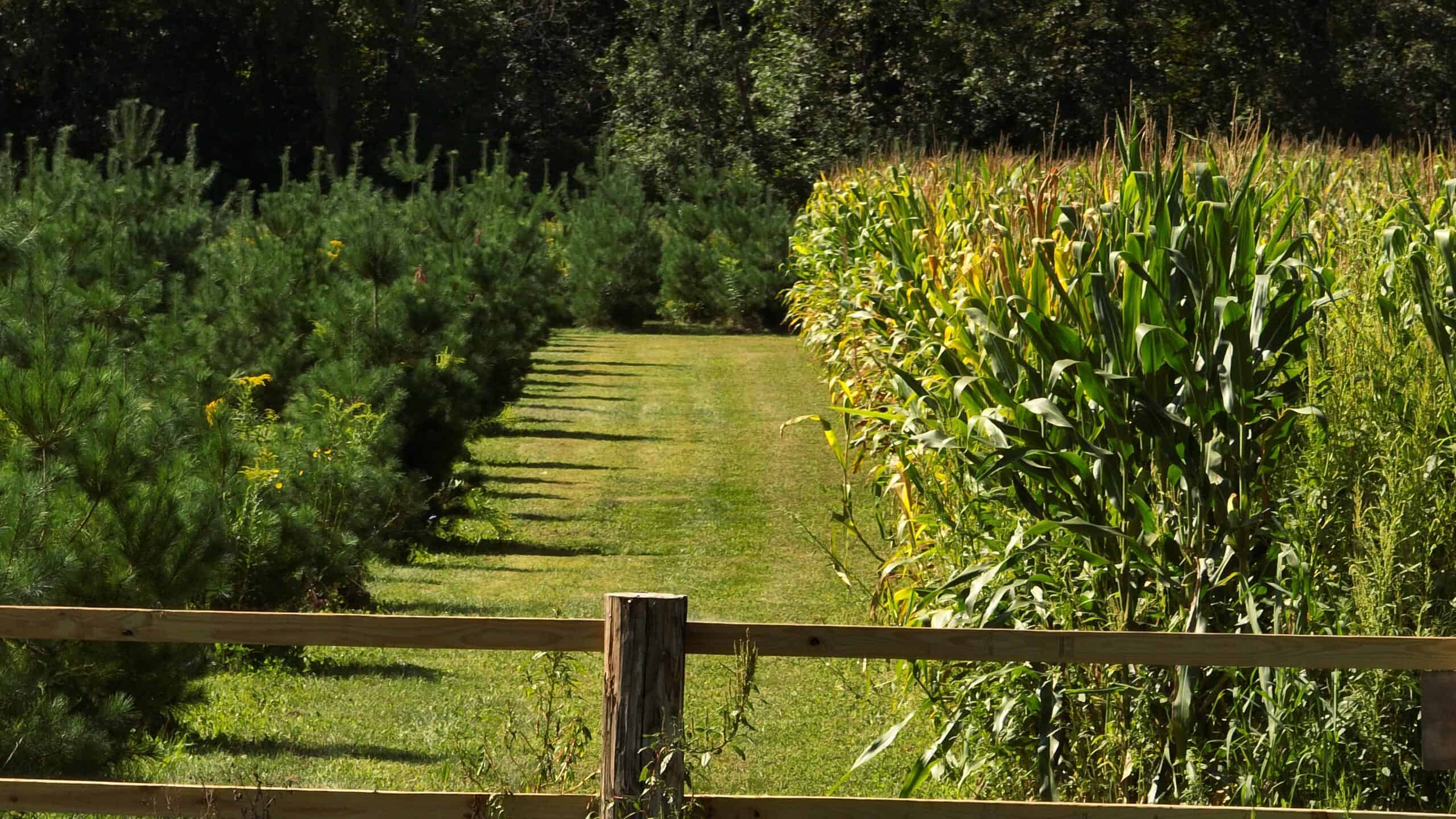 50-Acre Private Fishery & Recreational Estate | Tomah, Wisconsin