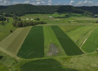 82.66 Acre Driftless Valley Farm with Trout Water Near Coon Valley, Wisconsin