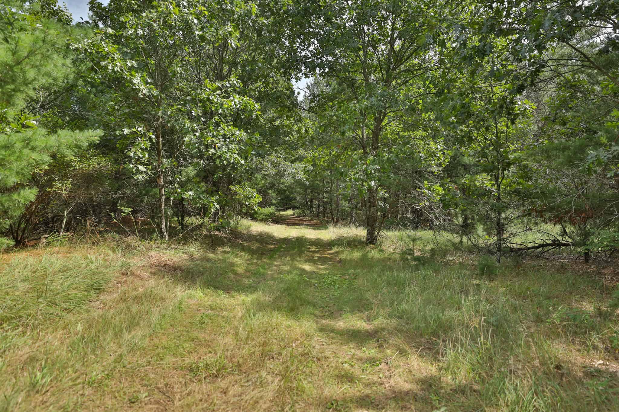 39.70± Acres of Hunting & Recreational Land Near Wisconsin Dells | Adams County, WI