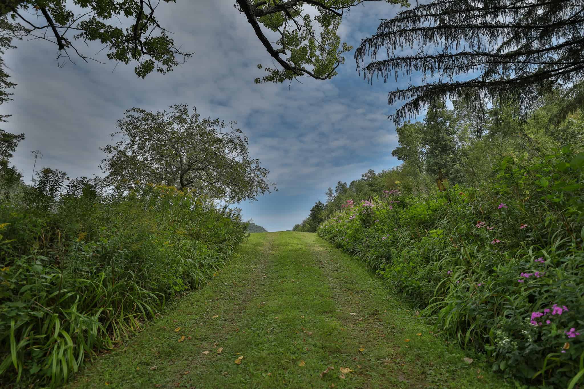 Mississippi River Valley Legacy Retreat | 42 Acres of Seclusion, Hunting & Driftless Beauty Near Genoa, Wisconsin