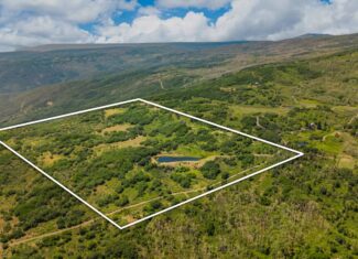 40 Acres Off-Grid Hunting Land | Roatcap Rd., Paonia CO
