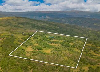 40 Acres Off-Grid Hunting Land | Roatcap Rd., Paonia CO