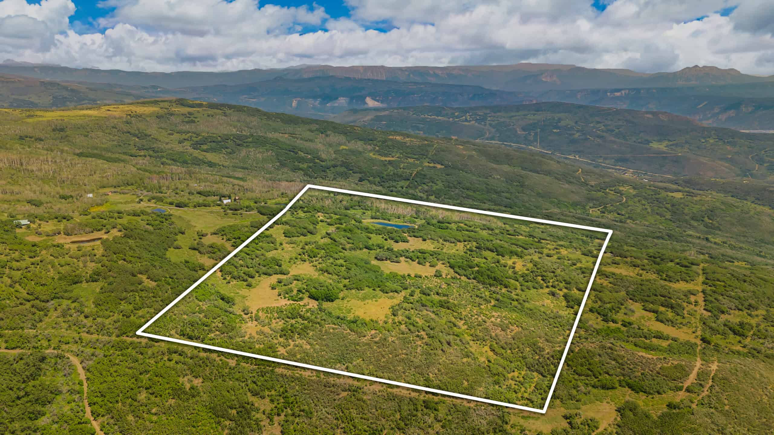 40 Acres Off-Grid Hunting Land | Roatcap Rd., Paonia CO