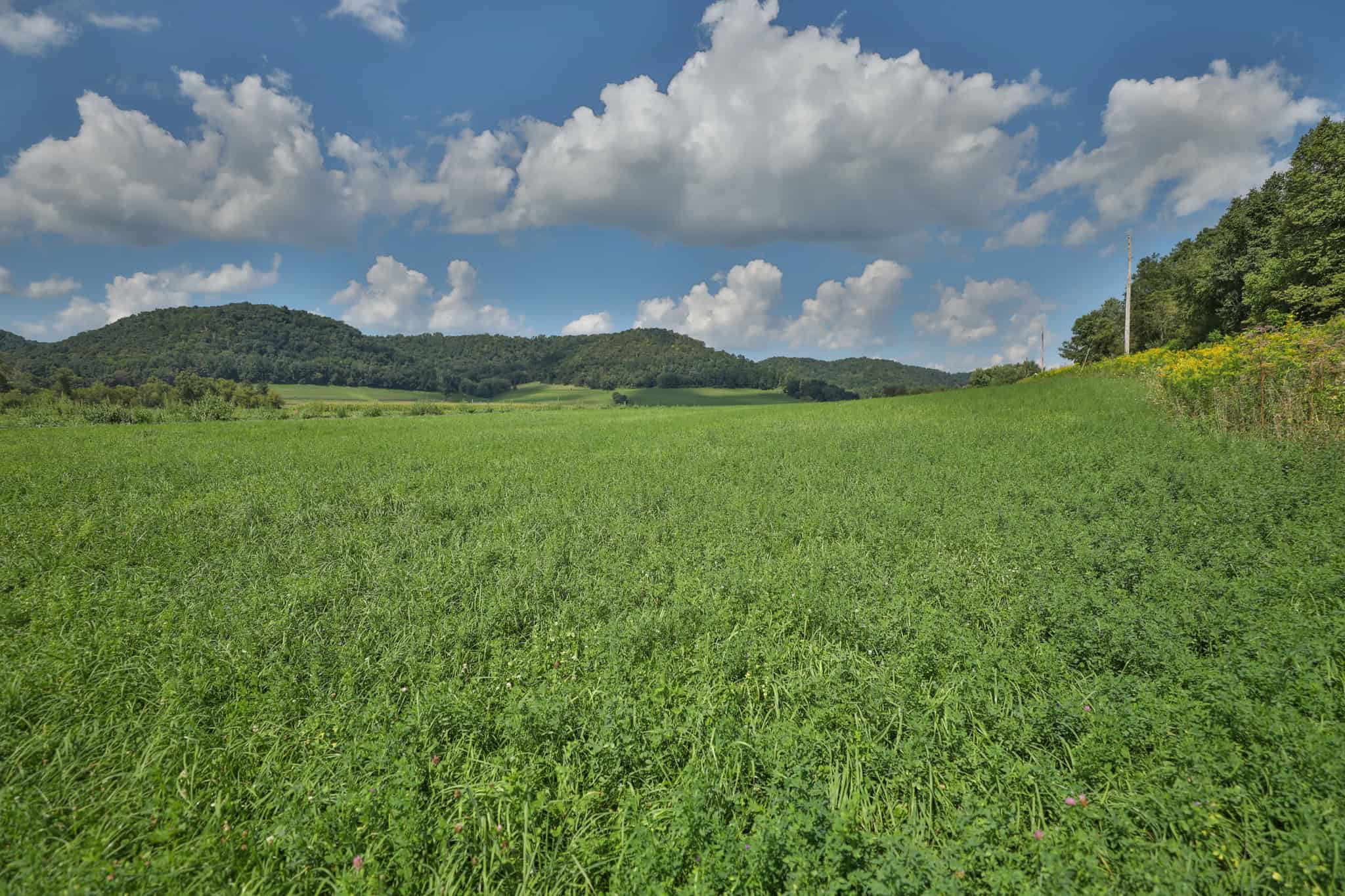 82.66 Acre Driftless Valley Farm with Trout Water Near Coon Valley, Wisconsin
