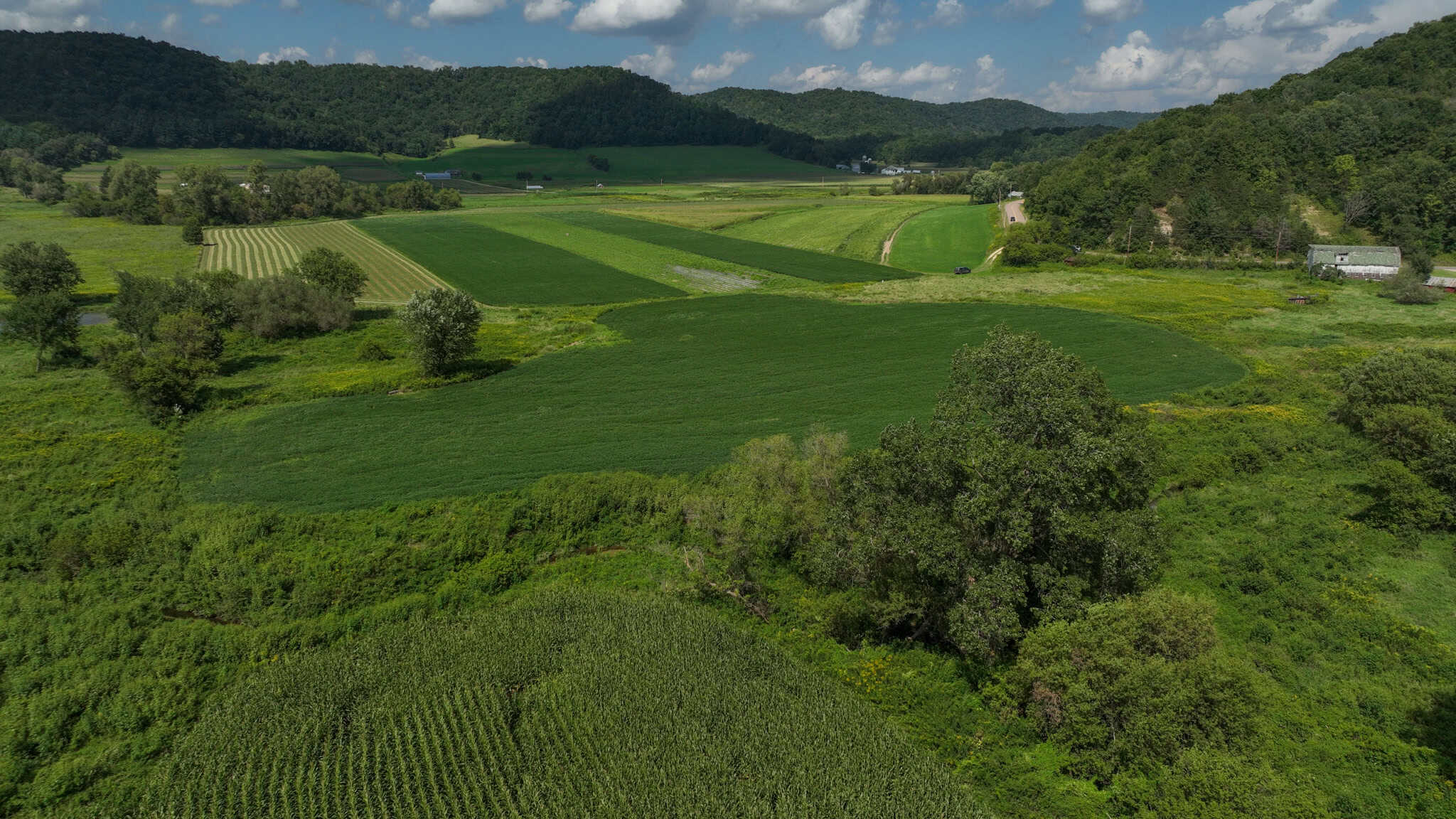 82.66 Acre Driftless Valley Farm with Trout Water Near Coon Valley, Wisconsin