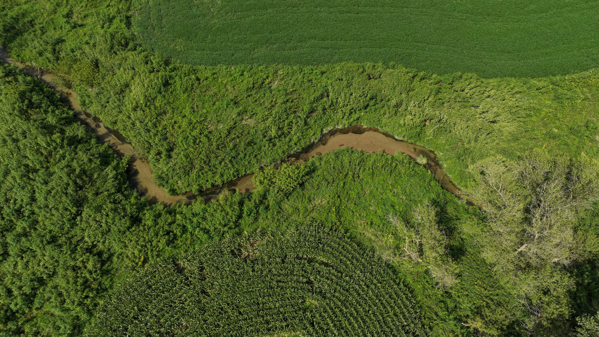 82.66 Acre Driftless Valley Farm with Trout Water Near Coon Valley, Wisconsin