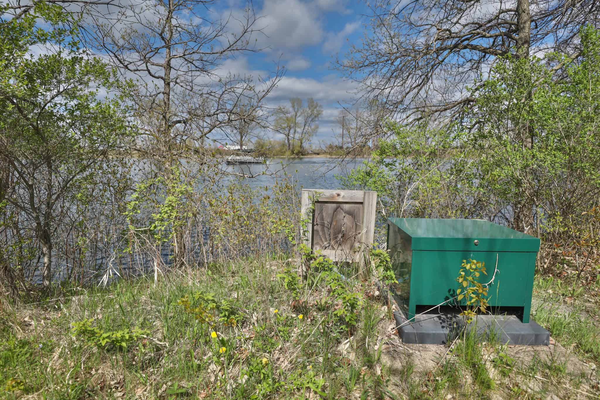 50-Acre Private Fishery & Recreational Estate | Tomah, Wisconsin