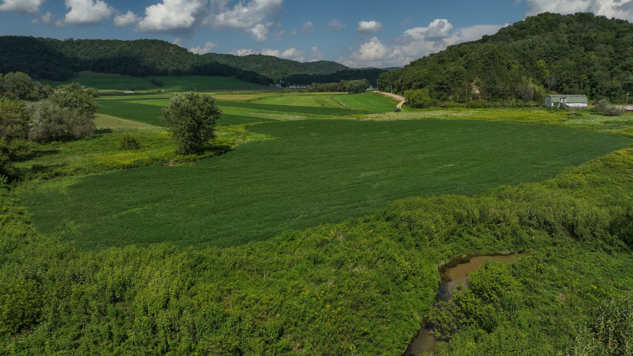 82.66 Acre Driftless Valley Farm with Trout Water Near Coon Valley, Wisconsin