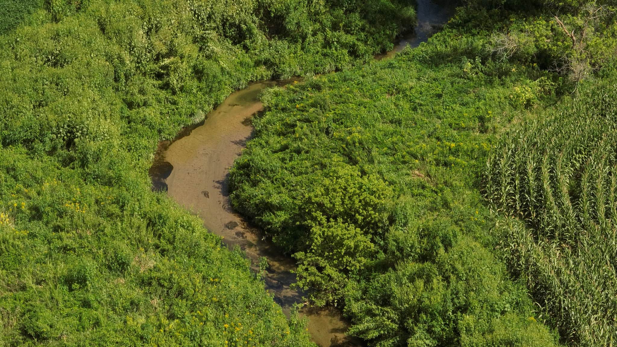 82.66 Acre Driftless Valley Farm with Trout Water Near Coon Valley, Wisconsin