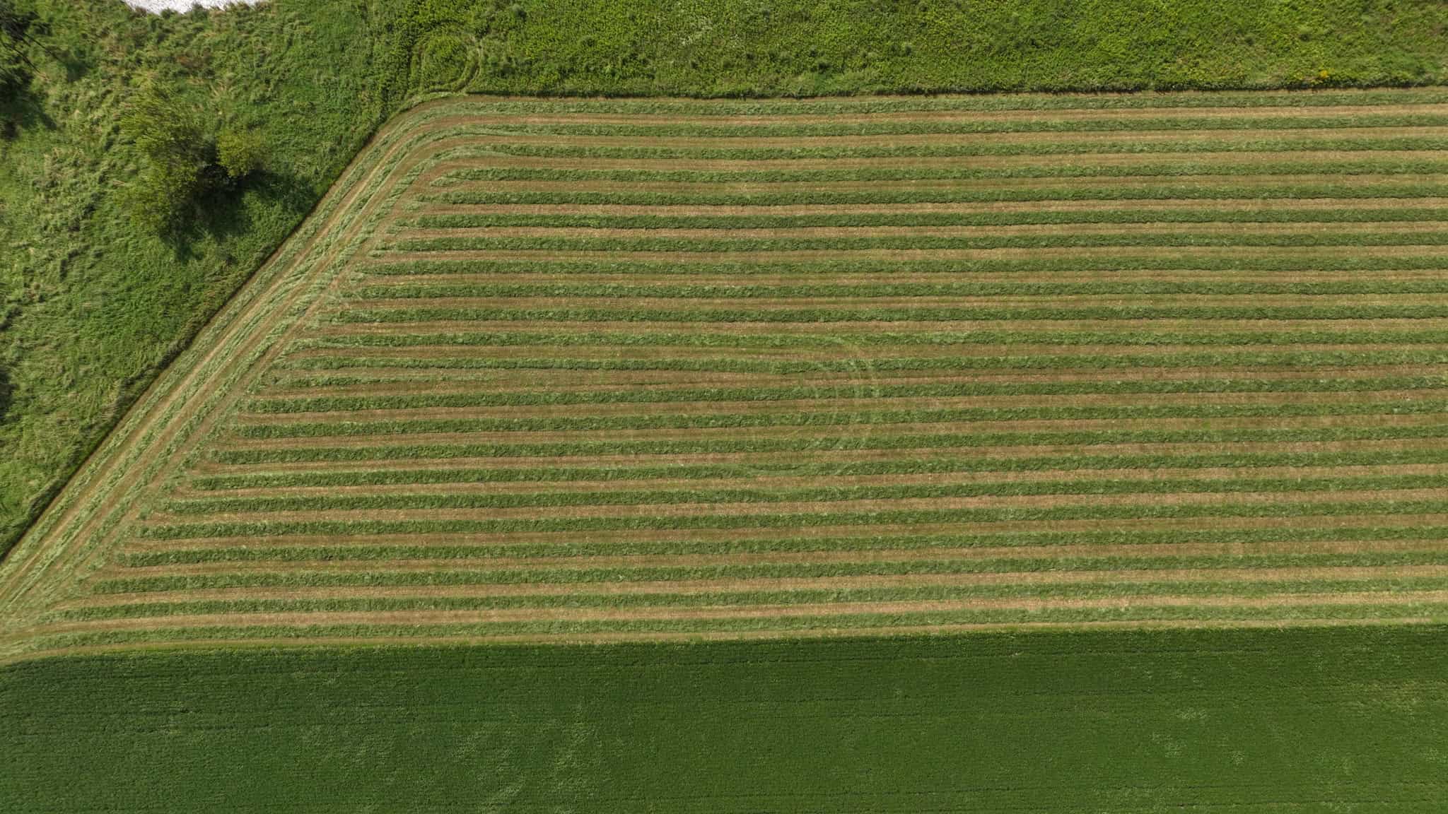 82.66 Acre Driftless Valley Farm with Trout Water Near Coon Valley, Wisconsin