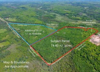 74.4 ± Acres of Hardwood Timber & Hunting Land in Glidden, WI