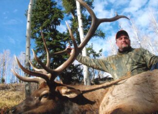Colorado Big Game Outfitting Business For Sale