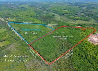 55 Acres With HWY Frontage & Whitetail Hunting Near Park Falls WI