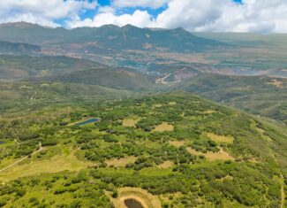 40 Acres Off-Grid Hunting Land | Roatcap Rd., Paonia CO
