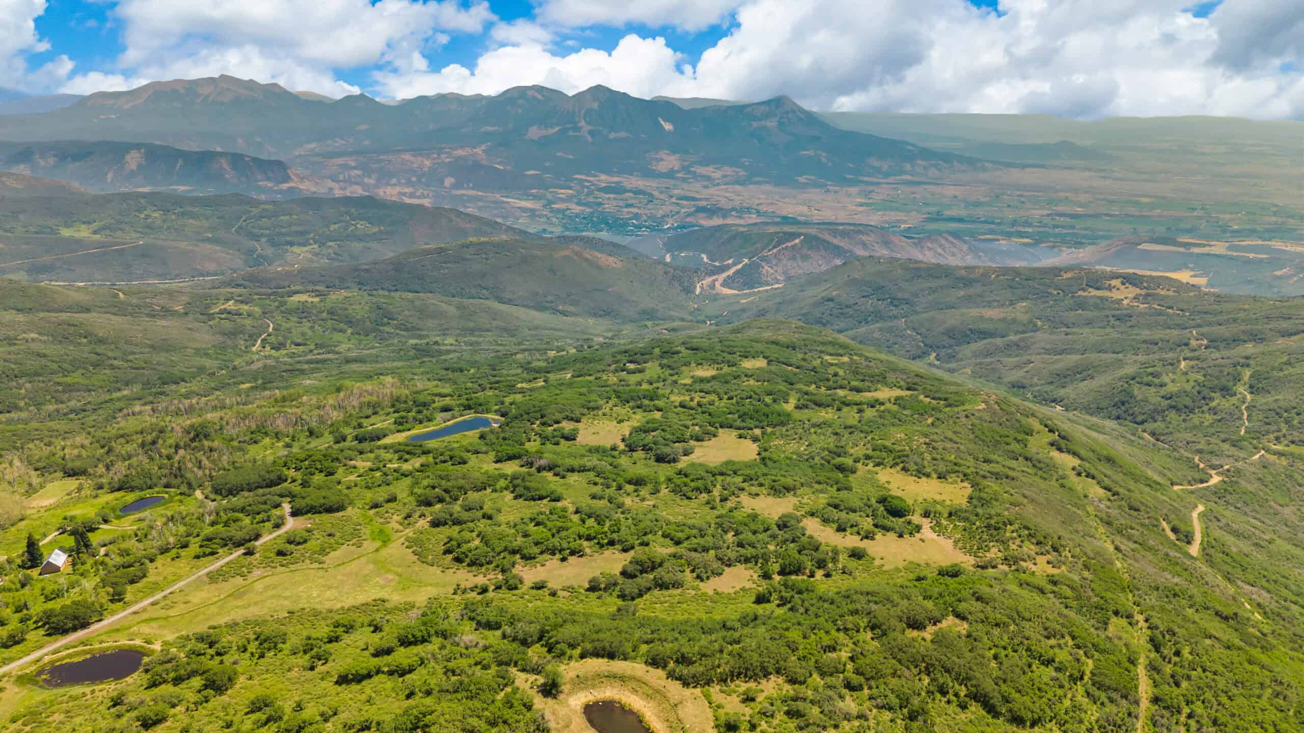 40 Acres Off-Grid Hunting Land | Roatcap Rd., Paonia CO