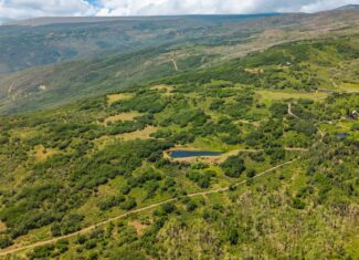 40 Acres Off-Grid Hunting Land | Roatcap Rd., Paonia CO