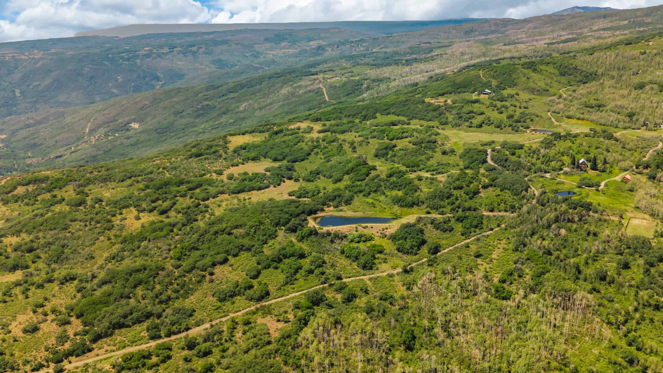 40 Acres Off-Grid Hunting Land | Roatcap Rd., Paonia CO