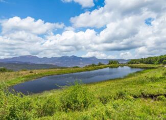 40 Acres Off-Grid Hunting Land | Roatcap Rd., Paonia CO