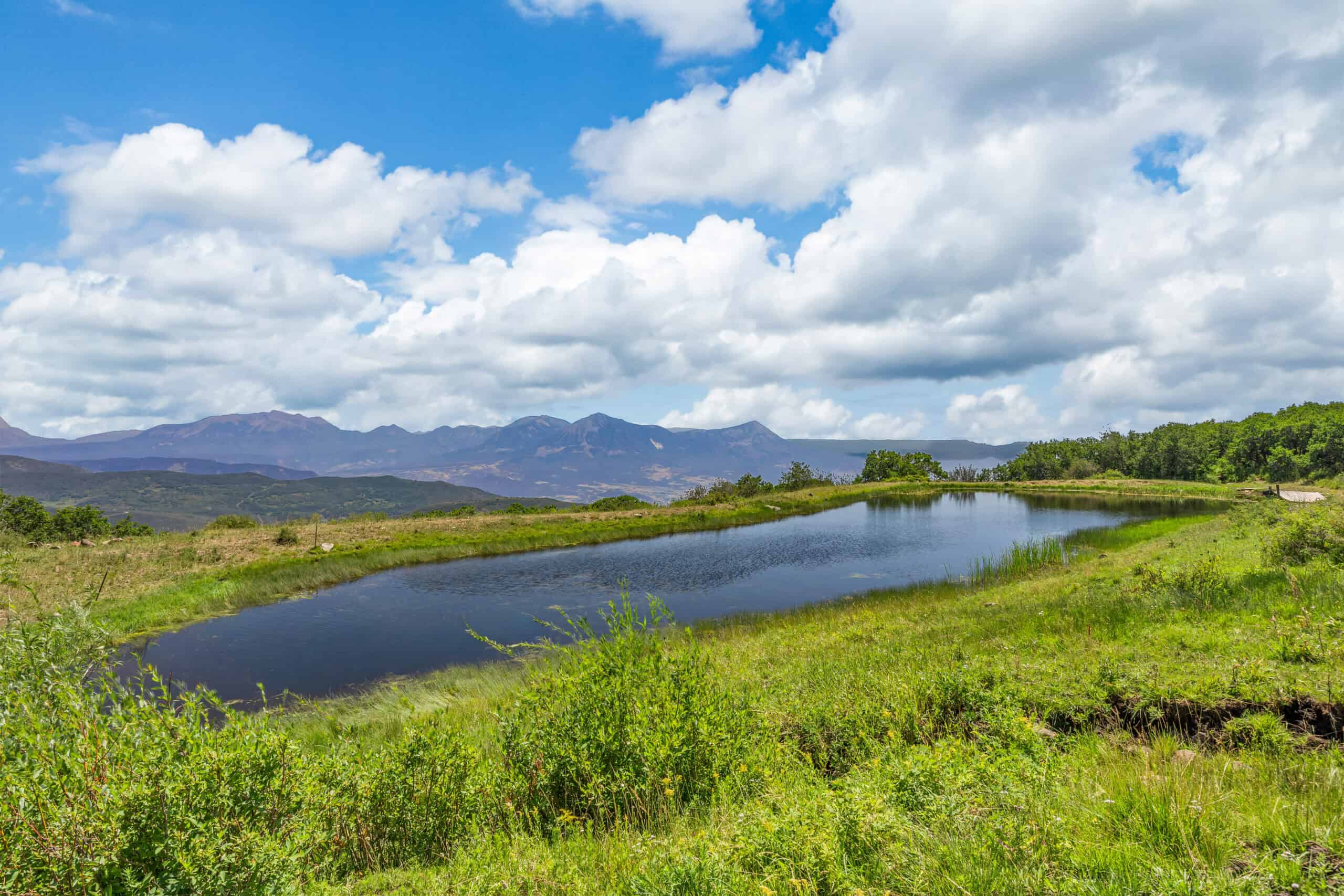 40 Acres Off-Grid Hunting Land | Roatcap Rd., Paonia CO