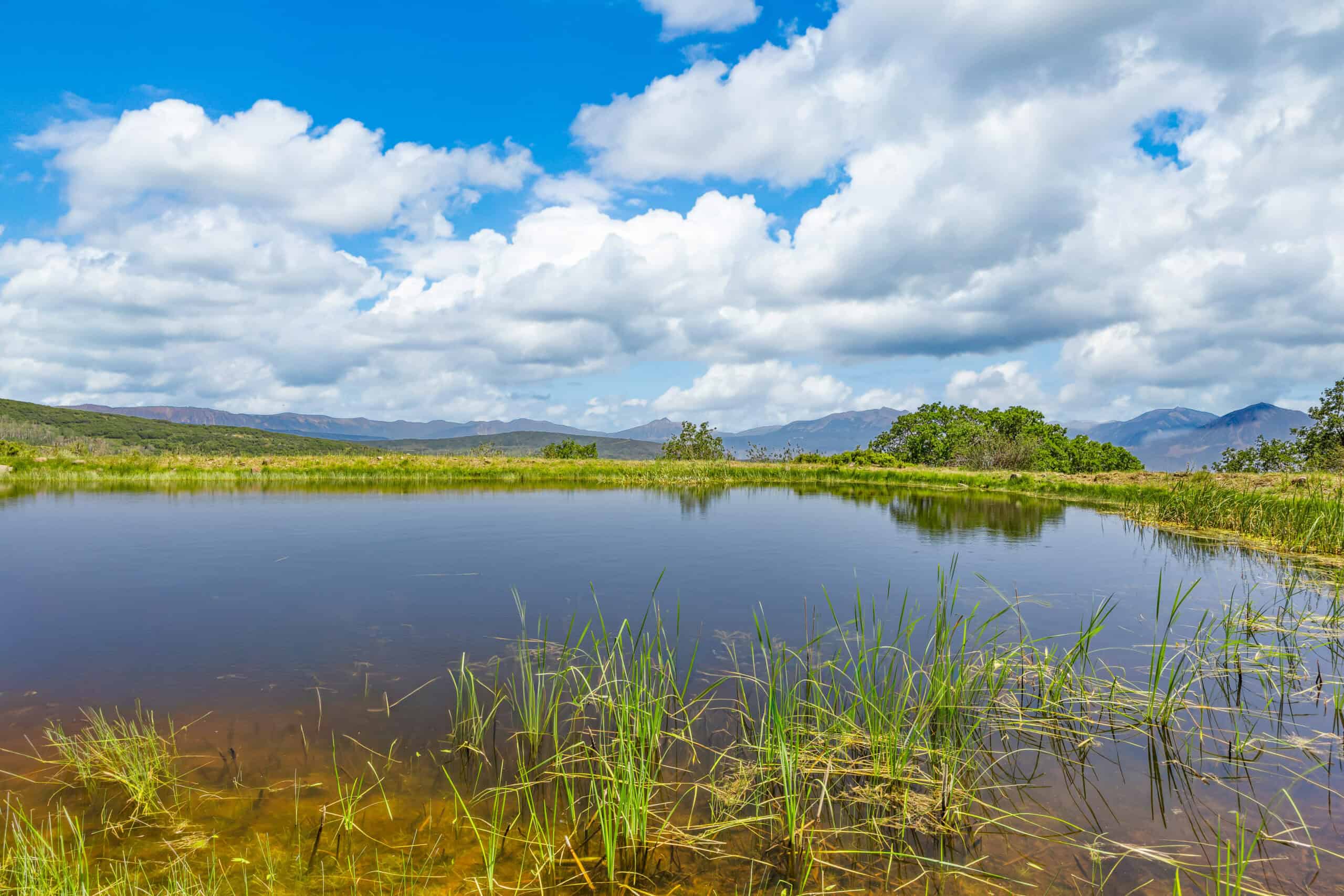40 Acres Off-Grid Hunting Land | Roatcap Rd., Paonia CO