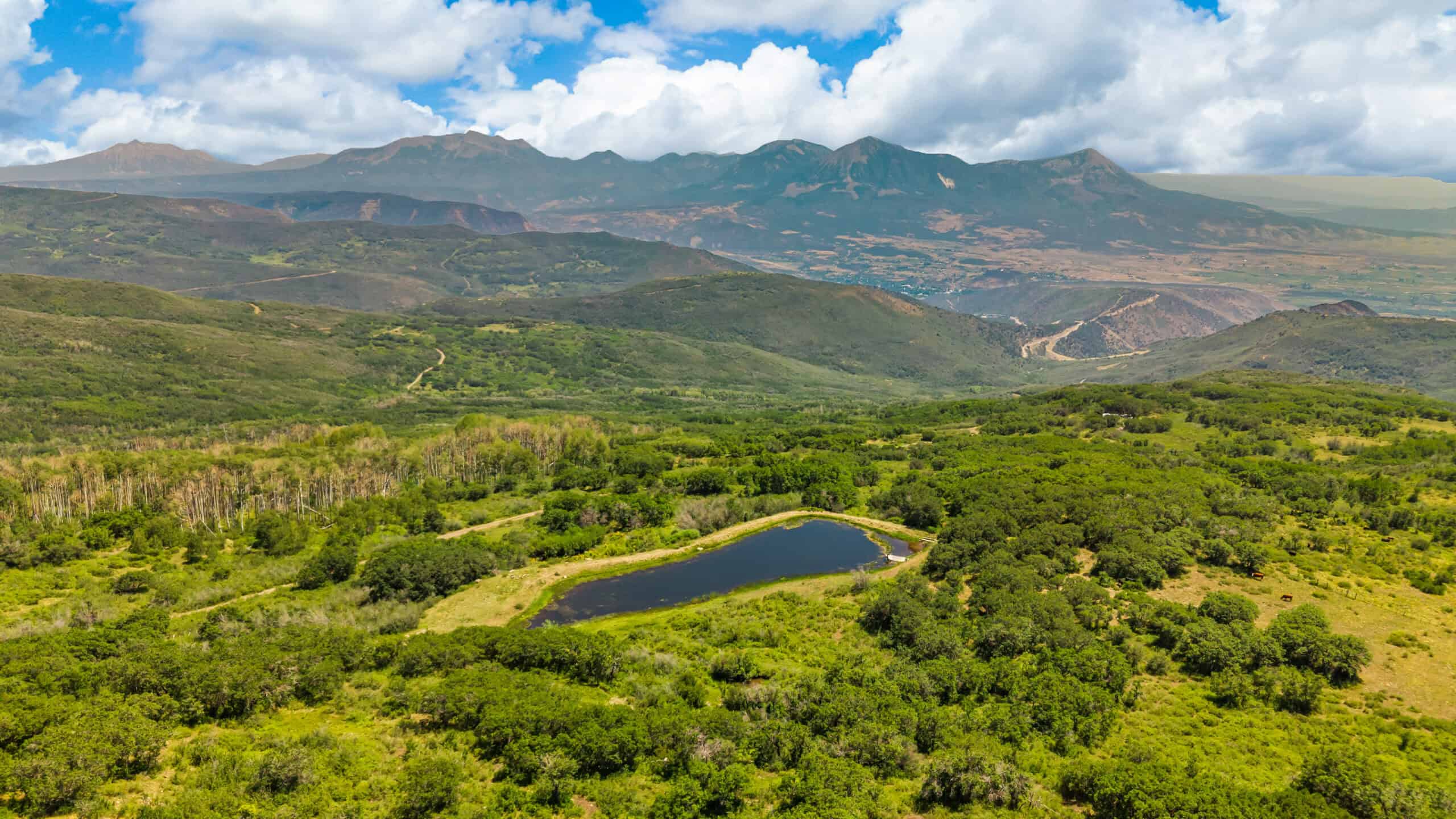40 Acres Off-Grid Hunting Land | Roatcap Rd., Paonia CO