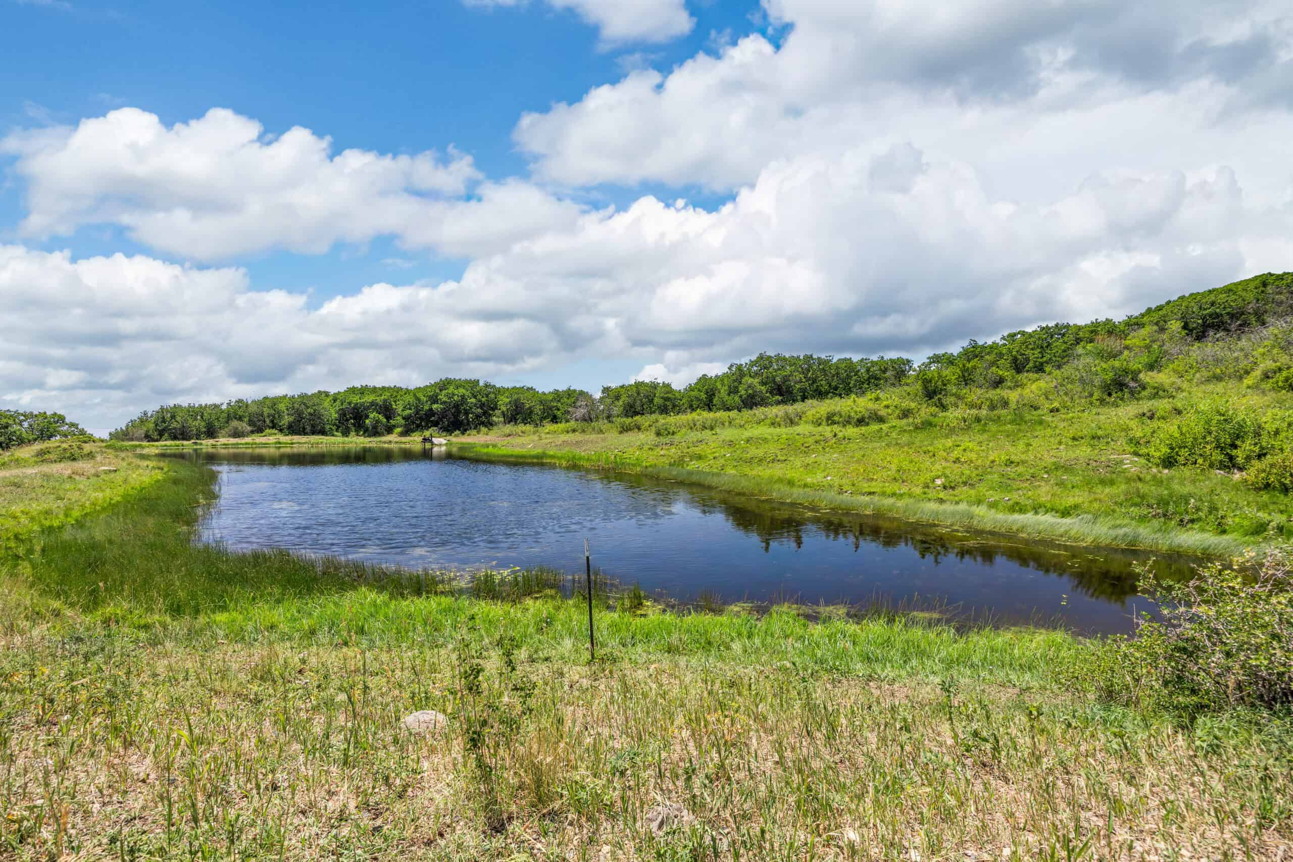 40 Acres Off-Grid Hunting Land | Roatcap Rd., Paonia CO