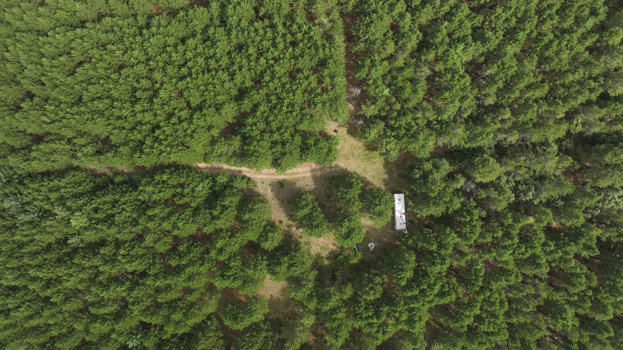 39.70± Acres of Hunting & Recreational Land Near Wisconsin Dells | Adams County, WI
