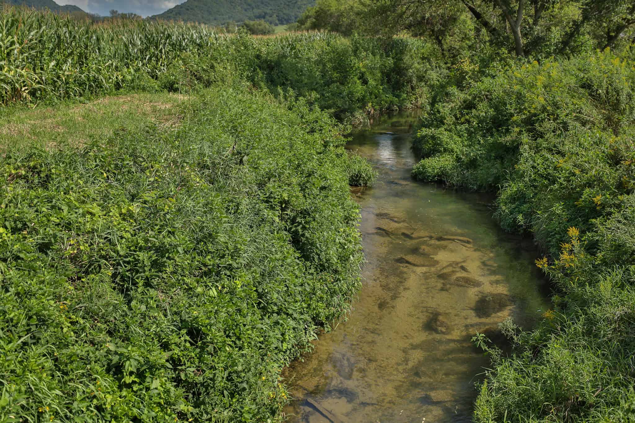82.66 Acre Driftless Valley Farm with Trout Water Near Coon Valley, Wisconsin