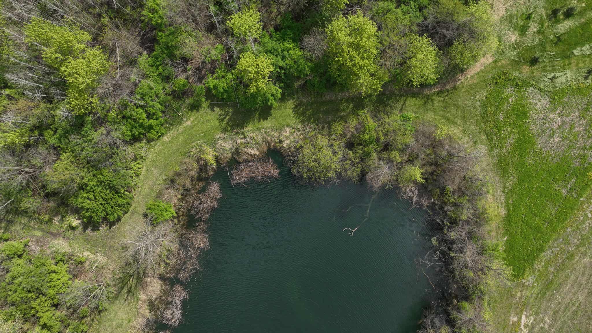 50-Acre Private Fishery & Recreational Estate | Tomah, Wisconsin