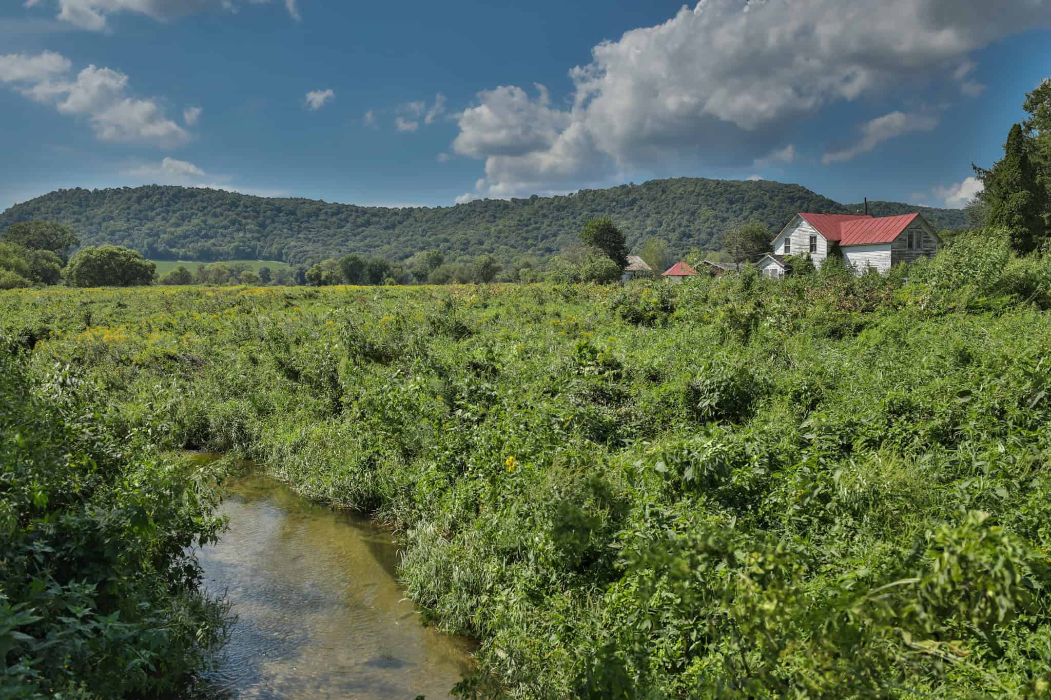 82.66 Acre Driftless Valley Farm with Trout Water Near Coon Valley, Wisconsin