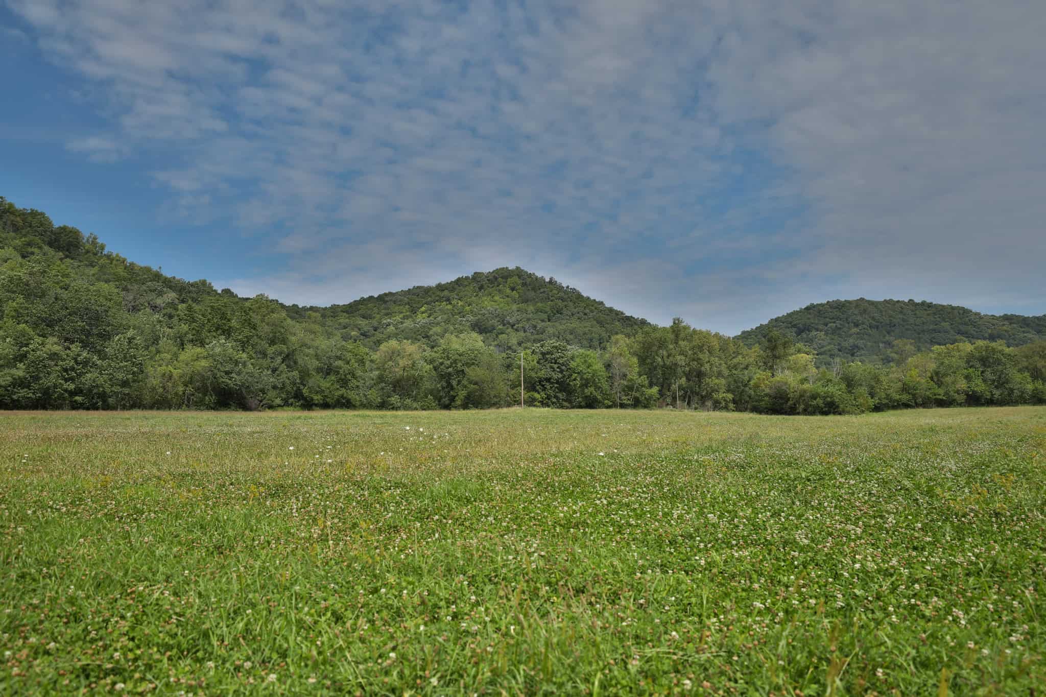 Mississippi River Valley Legacy Retreat | 42 Acres of Seclusion, Hunting & Driftless Beauty Near Genoa, Wisconsin