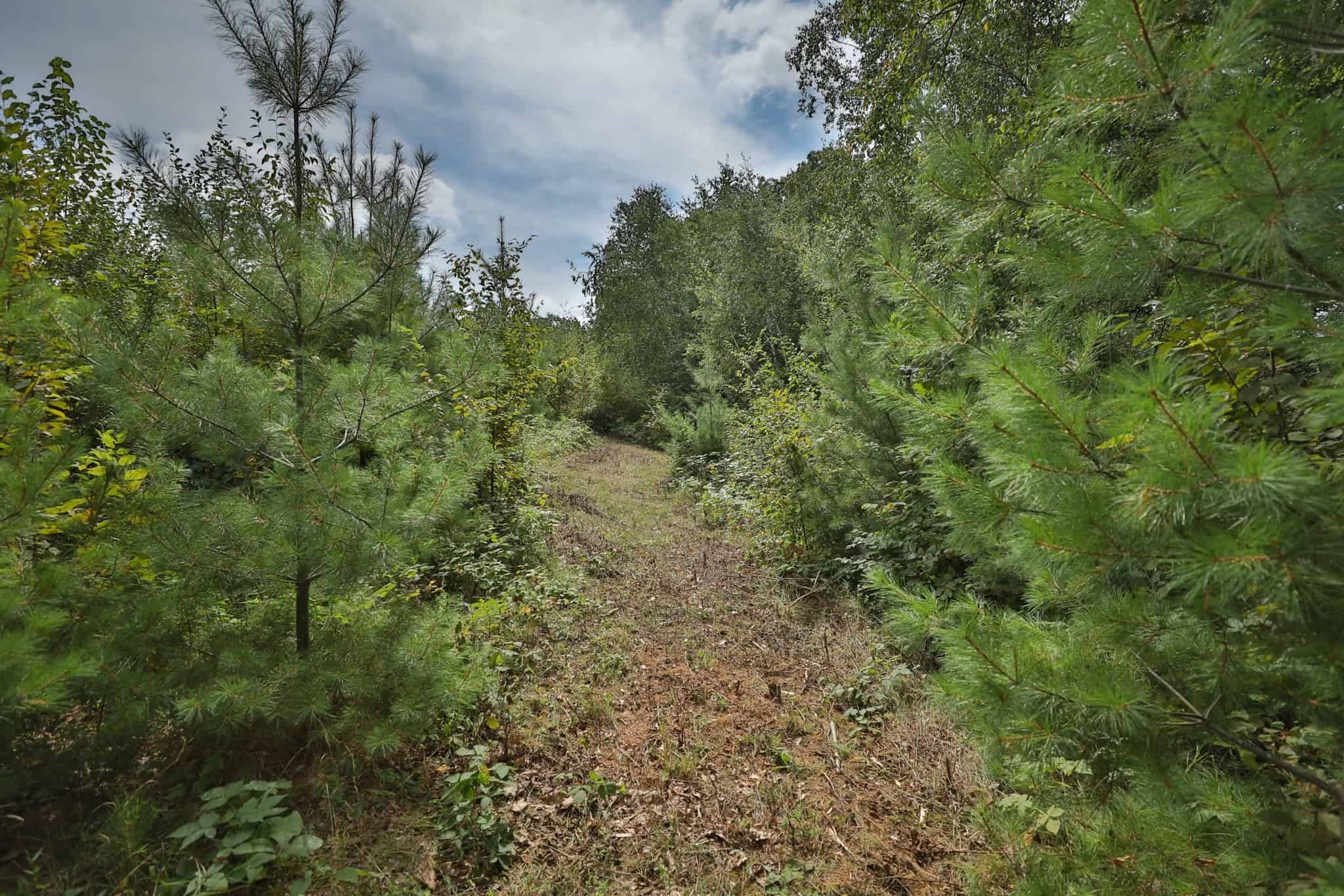 35-Acre Southwest Wisconsin Hunting Camp with Proven Whitetail History, Hardwood Ridges & Turnkey Game-Care Setup