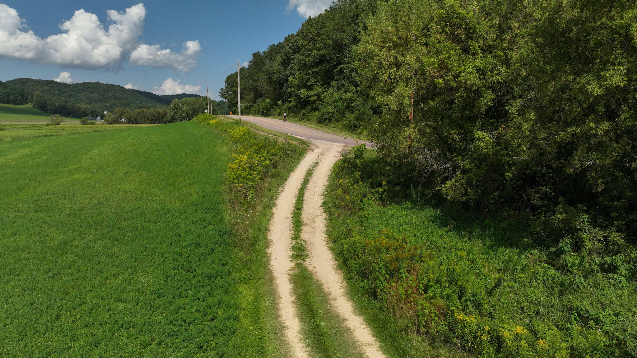 82.66 Acre Driftless Valley Farm with Trout Water Near Coon Valley, Wisconsin