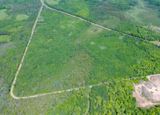55 Acres With HWY Frontage & Whitetail Hunting Near Park Falls WI