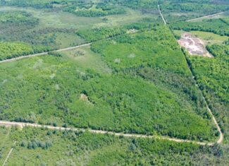 74.4 ± Acres of Hardwood Timber & Hunting Land in Glidden, WI