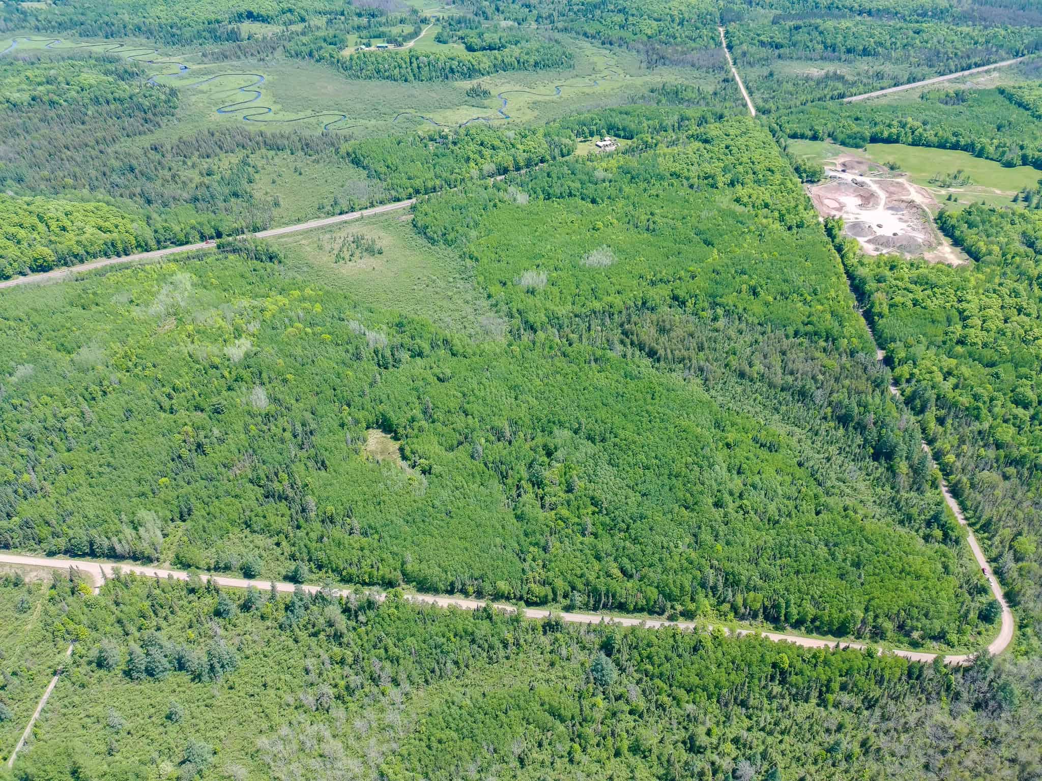 74.4 ± Acres of Hardwood Timber & Hunting Land in Glidden, WI